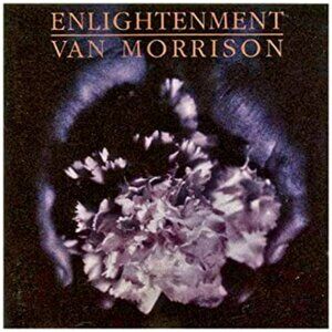 Van Morrison Enlightment vintage 1989 promo poster flat - them blues rock folk